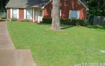 Photo of Shelly G.'s yard after getting lawn care in Breaux Bridge, LA
