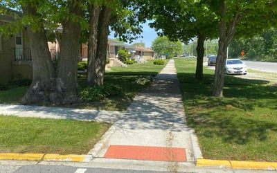 Photo of David G.'s yard after getting lawn care in Bethel Park, PA
