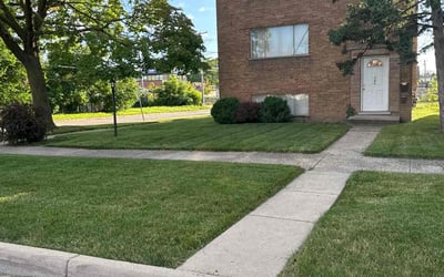 Photo of Bethanie H.'s yard after getting lawn care in Maywood, IL