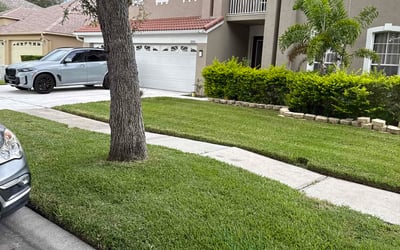 Photo of Wendy H.'s yard after getting lawn care in Tampa, FL