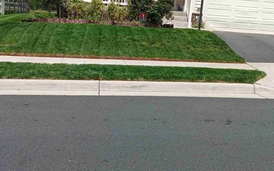 Photo of Sandra H.'s yard after getting lawn care in Manassas, VA
