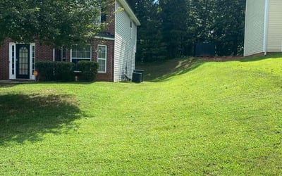 Photo of Anthony A.'s yard after getting lawn care in Temple, TX