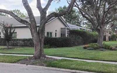 Photo of Dominique H.'s yard after getting lawn care in Crawfordville, FL