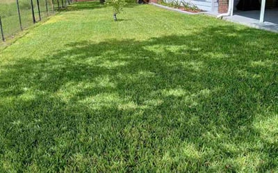 Photo of Virginia W.'s yard after getting lawn care in Nicholasville, KY