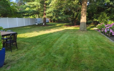 Photo of Vance B.'s yard after getting lawn care in Navarre, FL