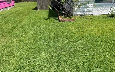 Photo of Felicia T.'s yard after getting lawn care in Pottstown, PA
