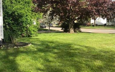 Photo of Donna C.'s yard after getting lawn care in Bloomington, IN