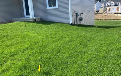 Photo of Clay F.'s yard after getting lawn care in Algonac, MI