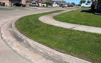 Photo of Connie Y.'s yard after getting lawn care in Jasper, AL