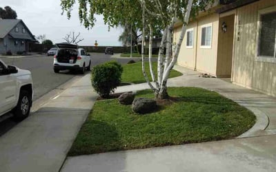 Photo of Monica A.'s yard after getting lawn care in South Lake Tahoe, CA
