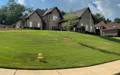 Photo of Mary A.'s yard after getting lawn care in Helena, AL