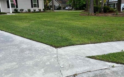 Photo of Alva W.'s yard after getting lawn care in Rincon, GA