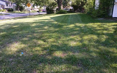 Photo of Vince W.'s yard after getting lawn care in Elizabethtown, KY