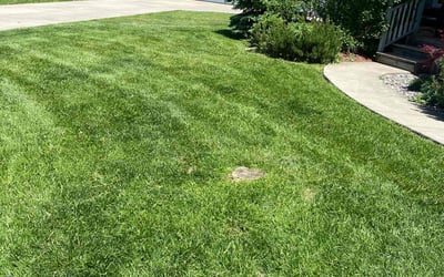 Photo of Janeen C.'s yard after getting lawn care in Seville, OH