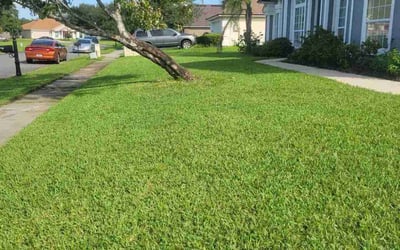 Photo of Corey D.'s yard after getting lawn care in Cortlandt Manor, NY