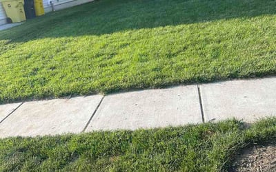 Photo of Stephanie C.'s yard after getting lawn care in Hobart, IN