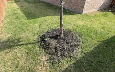 Photo of Sang L.'s yard after getting lawn care in Haverhill, MA