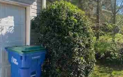 Photo of Mitchell S.'s yard after getting tree care in Little Rock, AR