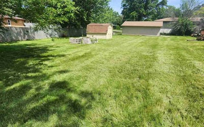 Photo of Deshaun S.'s yard after getting lawn care in Belvidere, IL