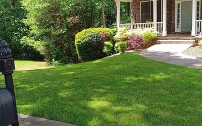 Photo of Teri I.'s yard after getting lawn care in Punta Gorda, FL
