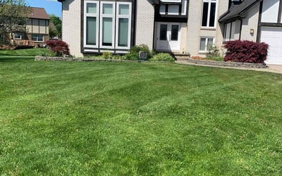Photo of Brittany C.'s yard after getting lawn care in Chesterfield, MI