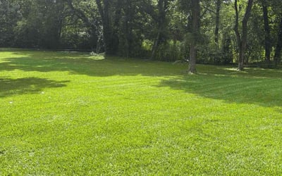 Photo of Helen P.'s yard after getting lawn care in Yazoo City, MS