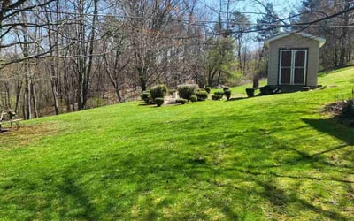 Photo of Eva O.'s yard after getting lawn care in Natrona Heights, PA