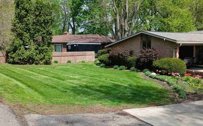 Photo of Ashley T.'s yard after getting lawn care in Fort Gratiot, MI