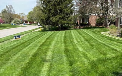 Photo of Jennifer L.'s yard after getting lawn care in Carmel, NY