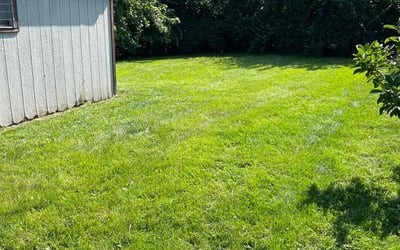 Photo of Maraloy T.'s yard after getting lawn care in East Lansing, MI