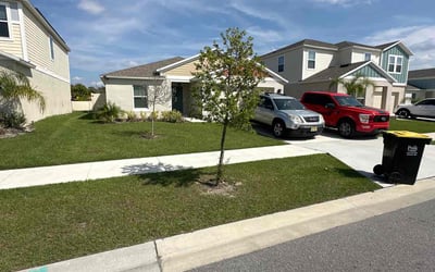 Photo of Steven C.'s yard after getting lawn care in Edinburg, TX