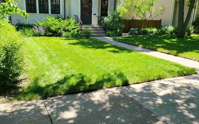 Photo of Shilan W.'s yard after getting lawn care in Buffalo, MN