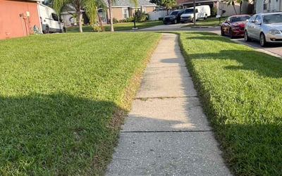Photo of Sandra M.'s yard after getting lawn care in Flemington, NJ