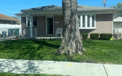 Photo of Shirley S.'s yard after getting lawn care in Lincoln Park, MI