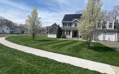 Photo of Kaitlyn B.'s yard after getting lawn care in Southington, CT