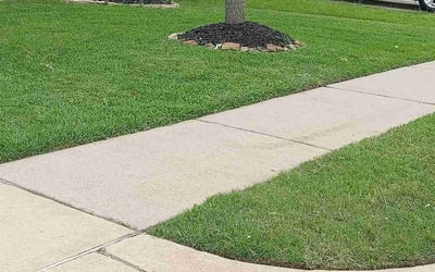 Photo of Michelle s.'s yard after getting lawn care in Sandy, OR