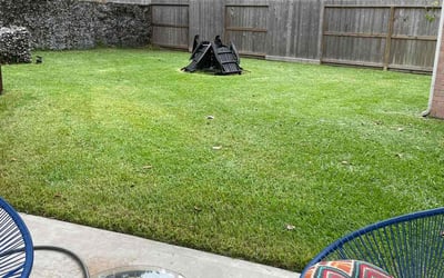 Photo of Scott B.'s yard after getting lawn care in Mission Hills, CA