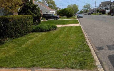 Photo of Adrian T.'s yard after getting lawn care in Montgomery Village, MD