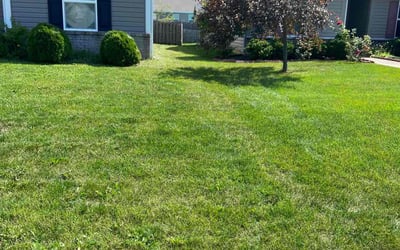 Photo of Angela P.'s yard after getting lawn care in West Lafayette, IN