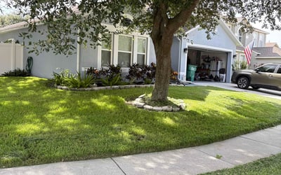 Photo of Shu I.'s yard after getting lawn care in Syracuse, UT