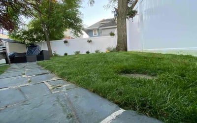 Photo of Melanie C.'s yard after getting lawn care in Brooklyn, NY