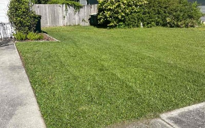 Photo of Daniel W.'s yard after getting lawn care in Jacksonville, FL