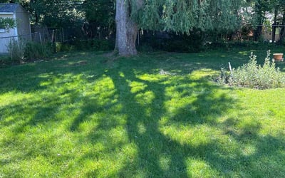 Photo of Stephen S.'s yard after getting lawn care in Wadsworth, OH