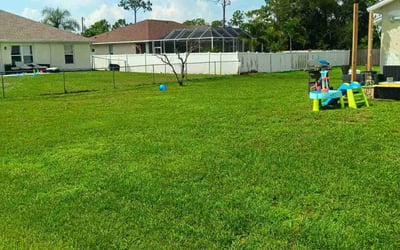Photo of Karen M.'s yard after getting lawn care in West Roxbury, MA