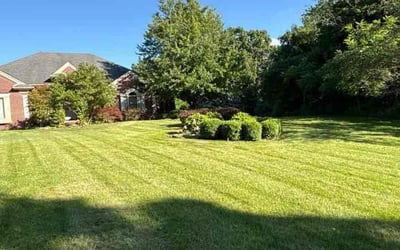 Photo of Geraldine L.'s yard after getting lawn care in Hickory, NC