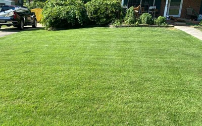 Photo of Mark B.'s yard after getting lawn care in Huntsville, AL