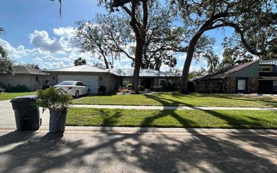 Photo of Roger M.'s yard after getting lawn care in Tampa, FL