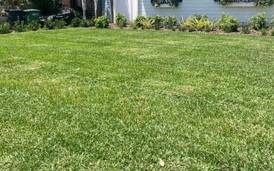 Photo of Daniel D.'s yard after getting lawn care in Pittsburgh, PA
