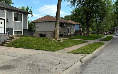 Photo of Josie G.'s yard after getting lawn care in Sparks, NV