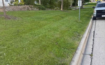 Photo of Corey R.'s yard after getting lawn care in Olathe, KS